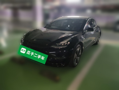 Tesla Model 3 2020 Tesla Model 3 2020 car image