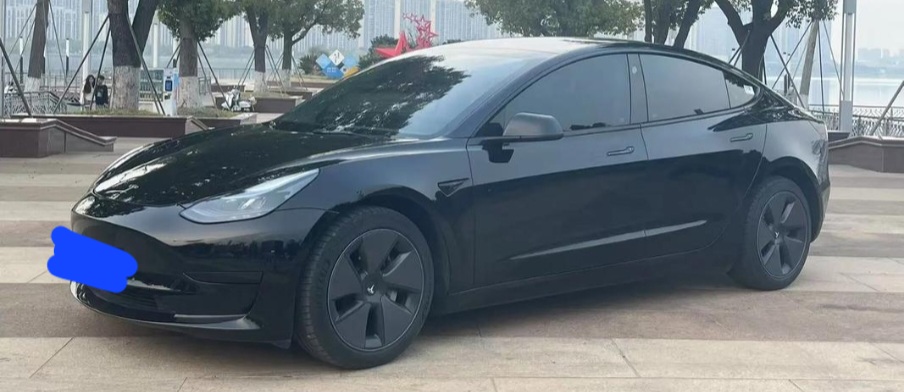 Tesla Model 3 2020 Tesla Model 3 2020 car image