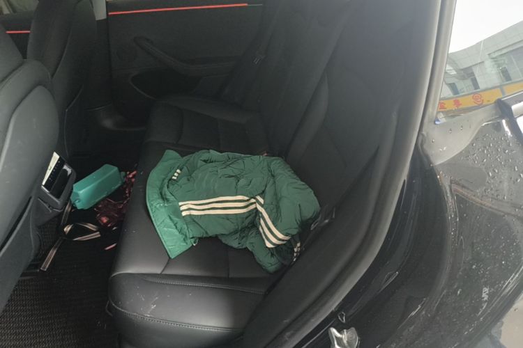 Tesla Model 3 2025 immagine di auto #17