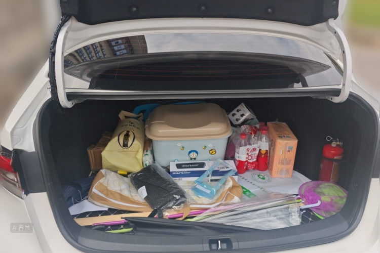 Toyota Corolla 2021 car image #21