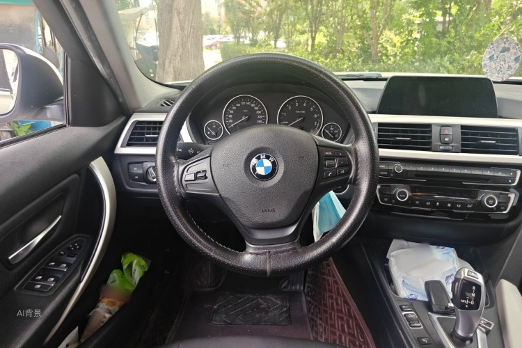 BMW 3 Series 2016 car image #12