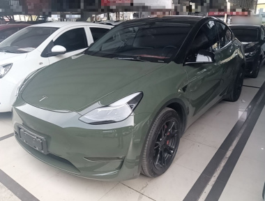 Tesla Model Y 2021 Tesla Model Y 2021 car image