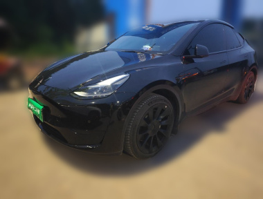 Tesla Model Y 2022 Tesla Model Y 2022 car image
