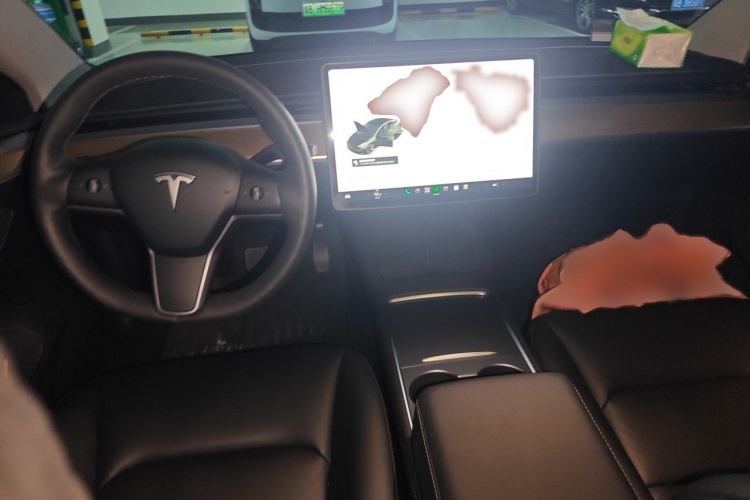 Tesla Model 3 2021 #12 Tesla Model 3 2021 car image #12