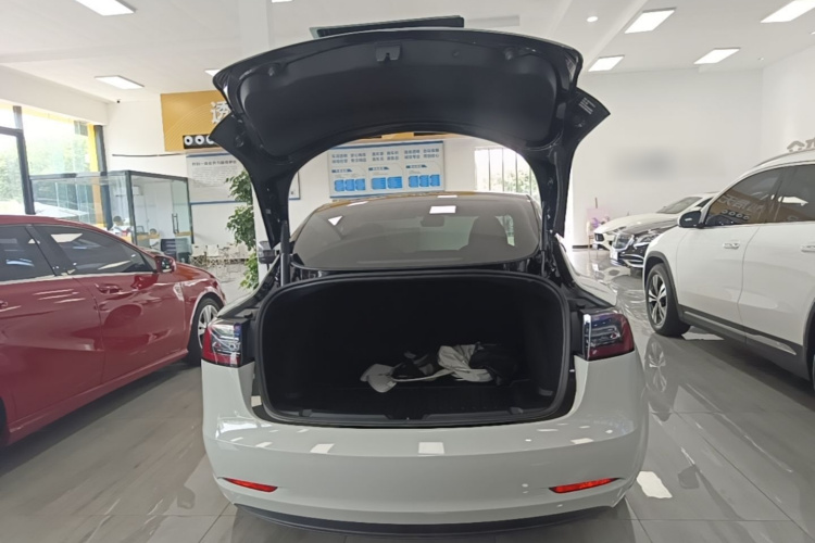 Tesla Model 3 2021 #19 Tesla Model 3 2021 car image #19