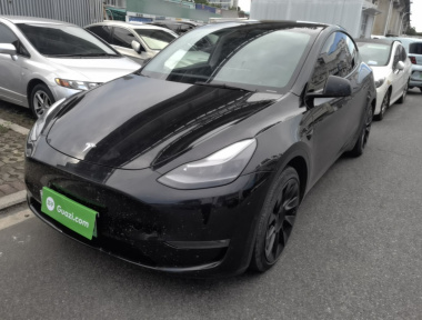 Tesla Model Y 2021 car image 