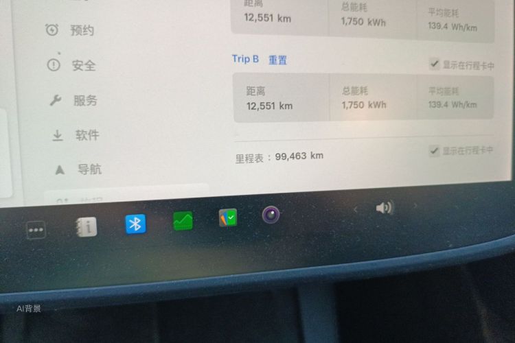 Tesla Model 3 2021 car image #14