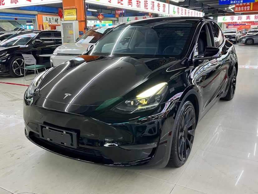 Tesla Model Y 2022 immagine di auto 