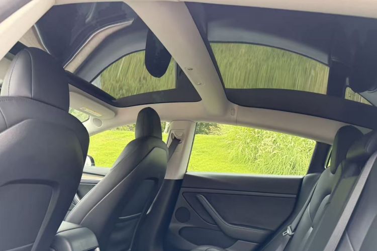 Tesla Model 3 2021 #18 Tesla Model 3 2021 car image #18