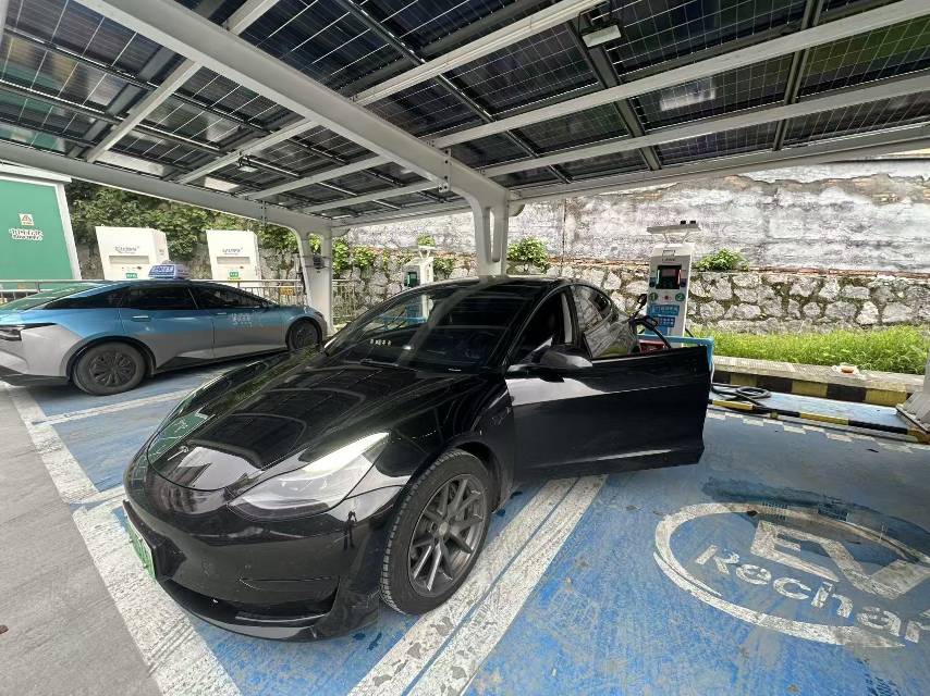 Tesla Model 3 2023 Tesla Model 3 2023 car image