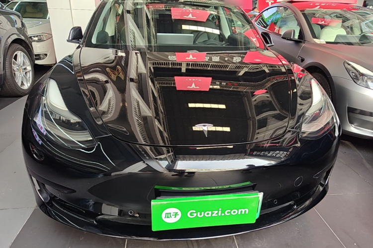 Tesla Model 3 2020 #3 Tesla Model 3 2020 car image #3