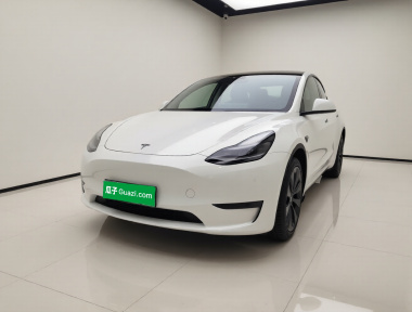 Tesla Model Y 2024 car image 