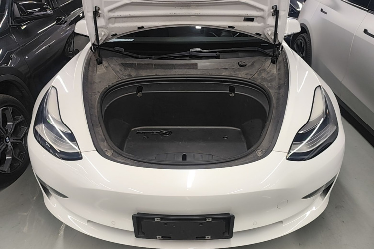 Tesla Model 3 2020 #20 Tesla Model 3 2020 car image #20