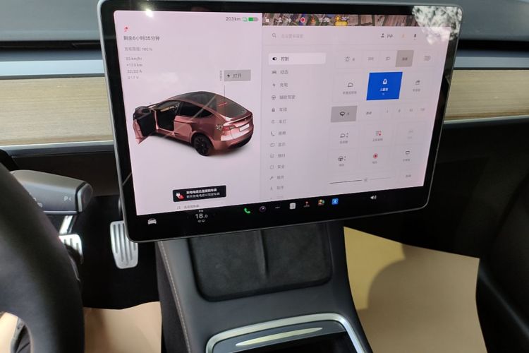Tesla Model Y 2021 #13 Tesla Model Y 2021 car image #13
