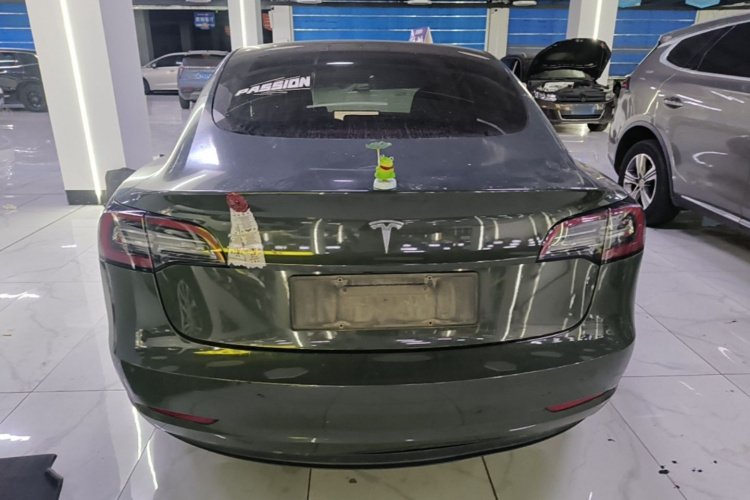 Tesla Model 3 2021 #6 Tesla Model 3 2021 car image #6