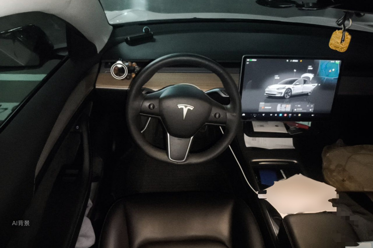 Tesla Model 3 2023 car image #12