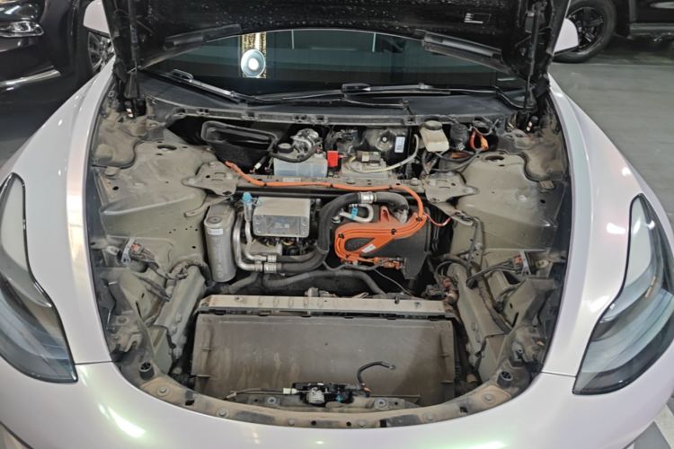 Tesla Model 3 2023 #20 Tesla Model 3 2023 car image #20
