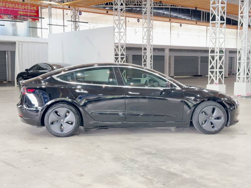 Tesla Model 3 2020 #3 Tesla Model 3 2020 car image #3