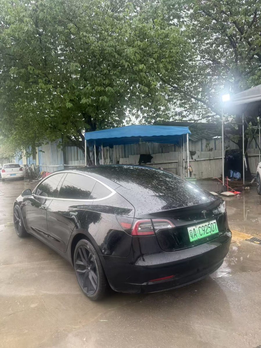 Tesla Model 3 (Imported) 2019 car image #6