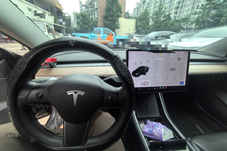 Tesla Model 3 2020 car image #12