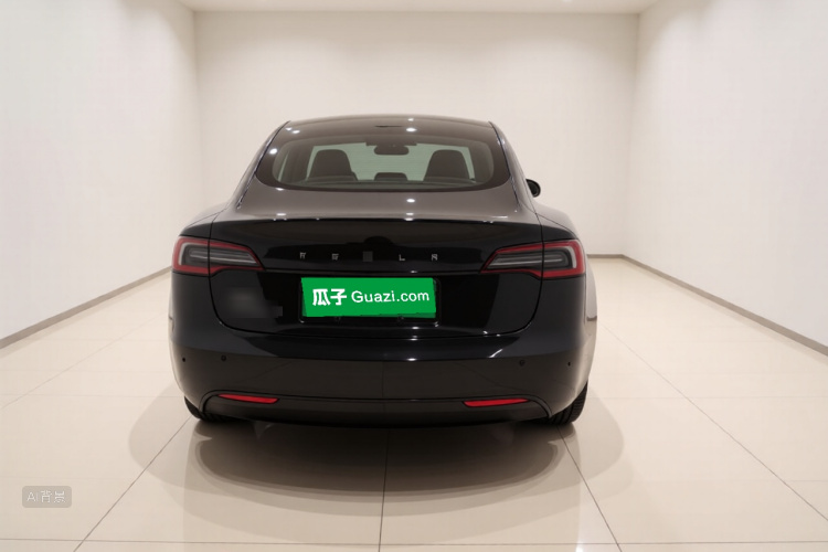 Tesla Model 3 2024 car image #6