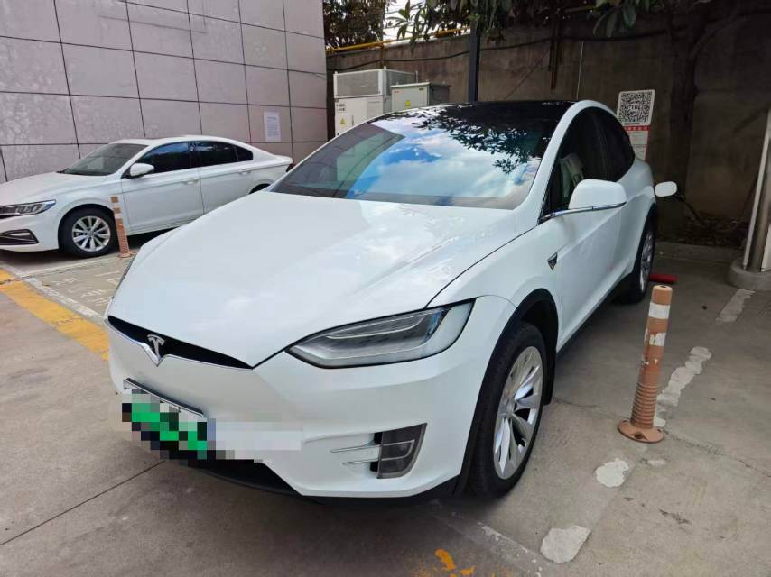 Tesla Model X 2019 Tesla Model X 2019 car image