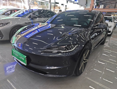 Tesla Model 3 2023 Tesla Model 3 2023 car image