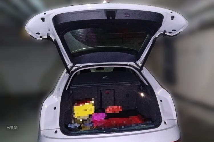 Audi Q3 2017 car image #21