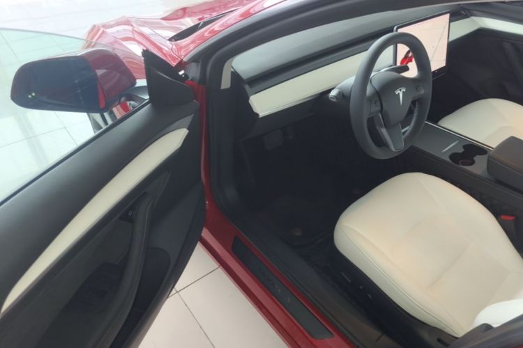 Tesla Model 3 2021 immagine di auto #16