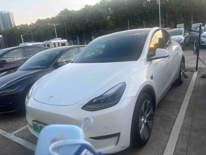 Tesla Model Y 2021 car image 