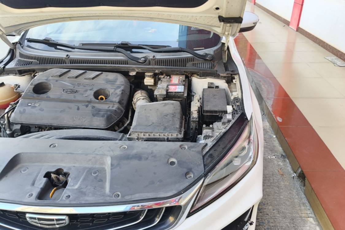 GEELY Binray 2020 #12 GEELY Binray 2020 immagine di auto #12