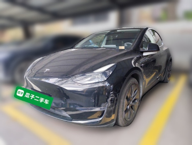 Tesla Model Y 2021 Tesla Model Y 2021 car image