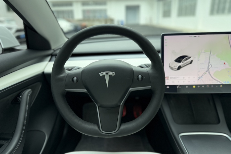 Tesla Model 3 2021 #13 Tesla Model 3 2021 car image #13