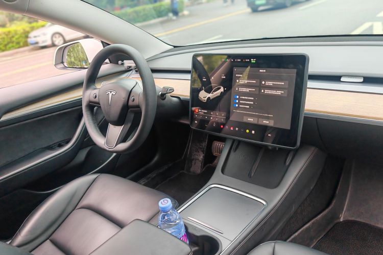 Tesla Model 3 2021 #15 Tesla Model 3 2021 car image #15