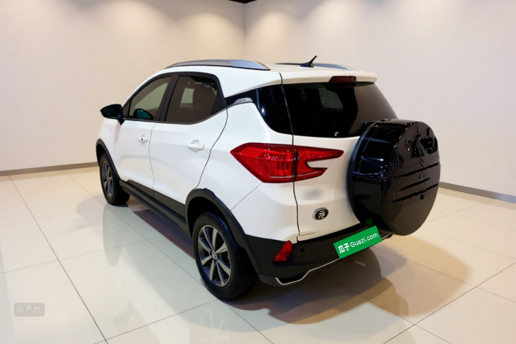 BYD Yuan New Energy 2020 car image #5