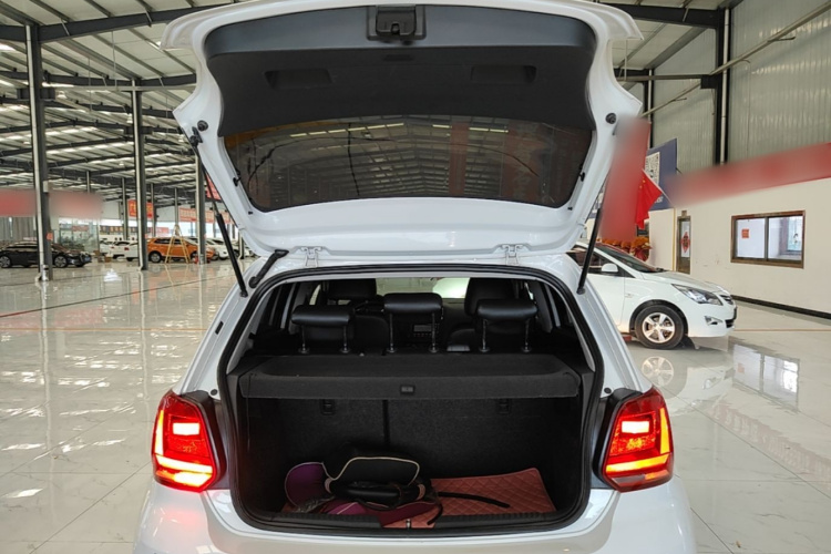 Volkswagen Polo 2015 car image #19