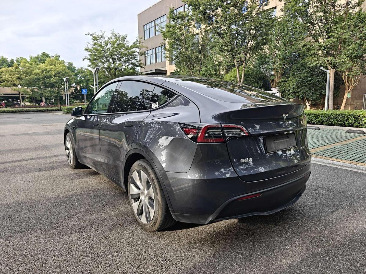 Tesla Model Y 2021 car image #6