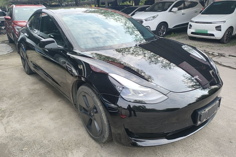 Tesla Model 3 2021 #4 Tesla Model 3 2021 car image #4