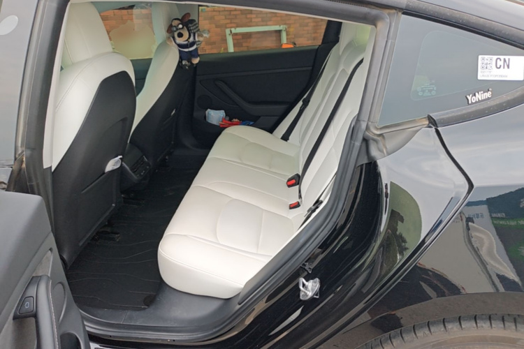 Tesla Model 3 2023 car image #17