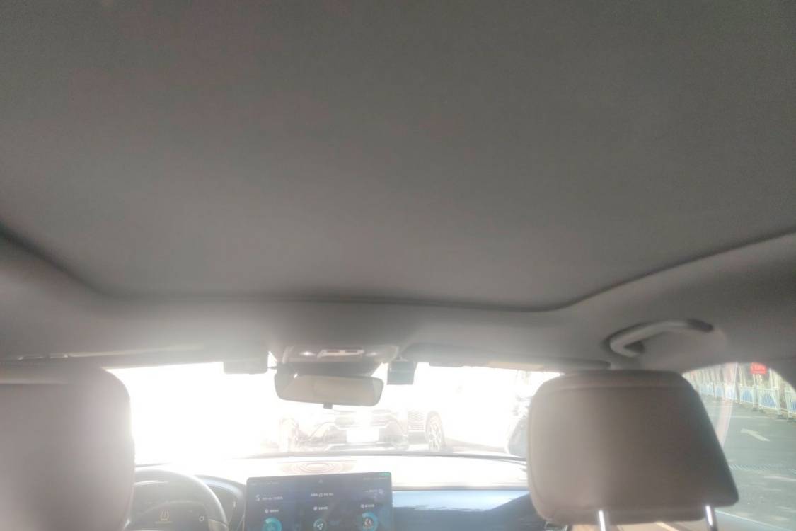 BYD Han 2020 #20 BYD Han 2020 immagine di auto #20