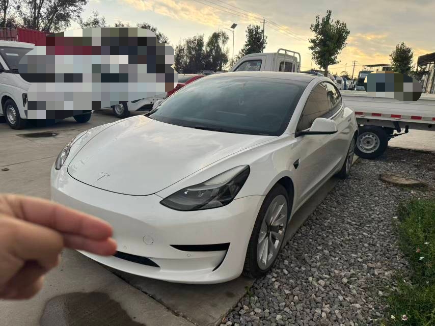 Tesla Model 3 2021 Tesla Model 3 2021 immagine di auto