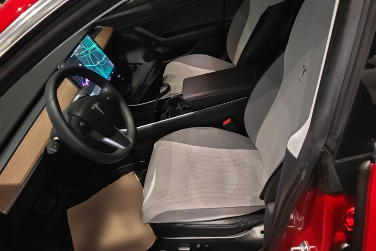 Tesla Model 3 2020 car image #15