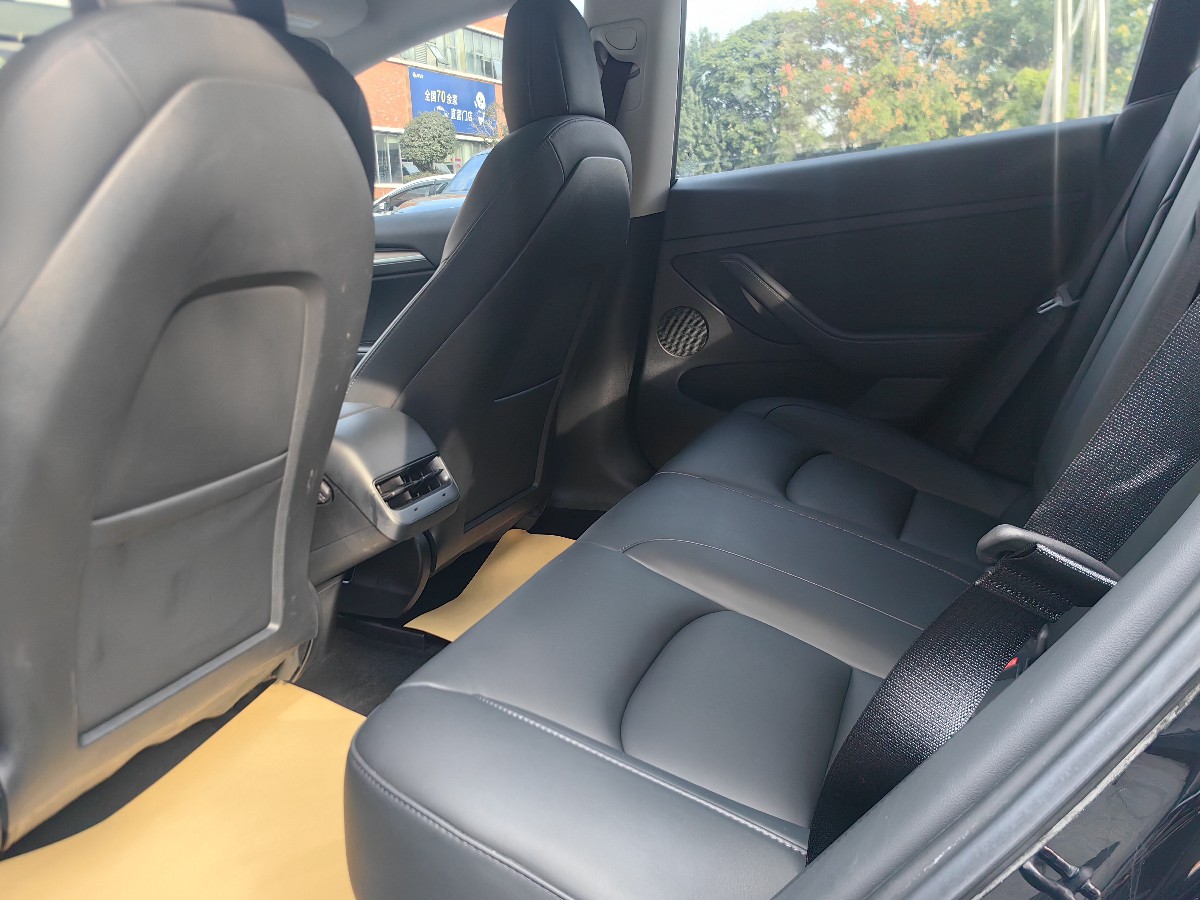 Tesla Model 3 2021 #5 Tesla Model 3 2021 car image #5