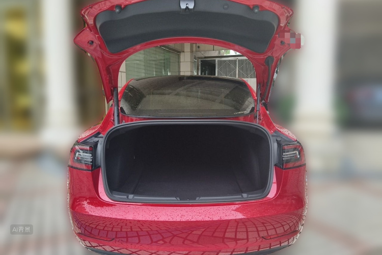 Tesla Model 3 2021 #21 Tesla Model 3 2021 car image #21