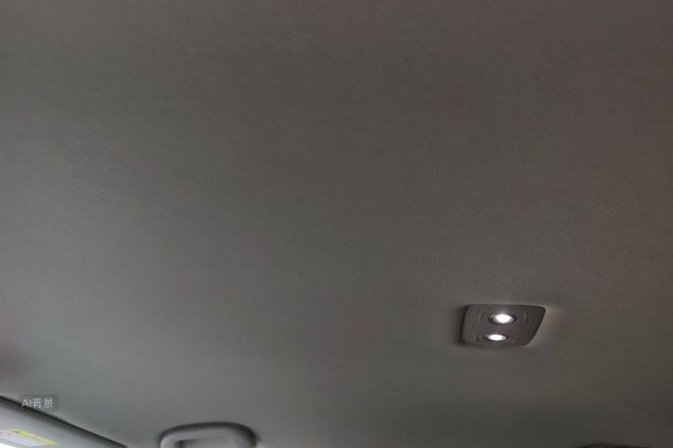 BYD Yuan Plus 2022 car image #20