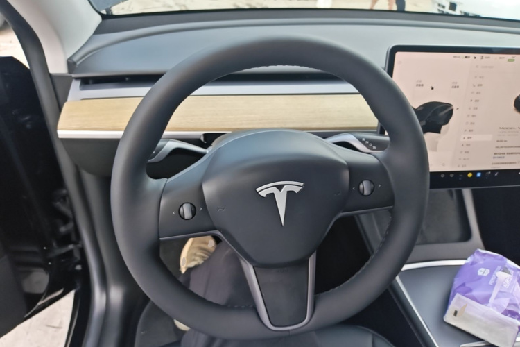 Tesla Model Y 2023 #11 Tesla Model Y 2023 car image #11