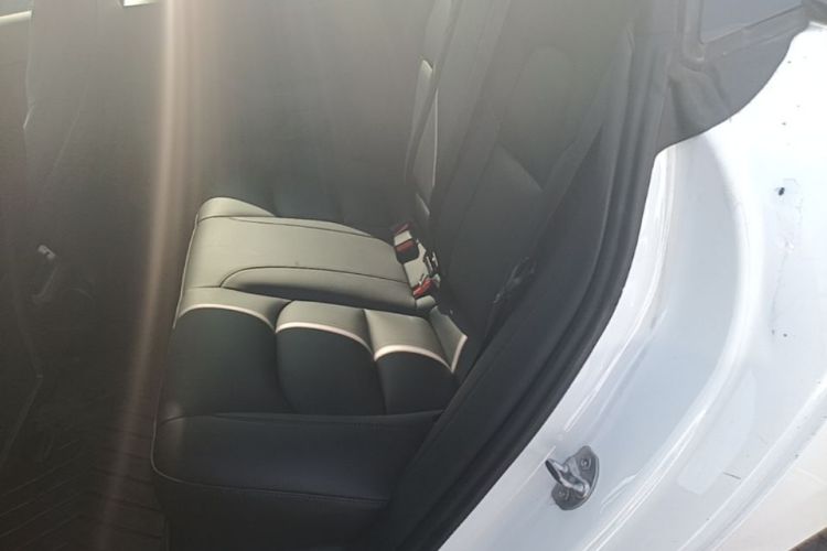 Tesla Model 3 2021 car image #17