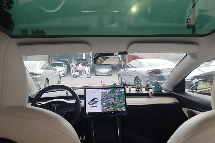 Tesla Model 3 2020 car image #18