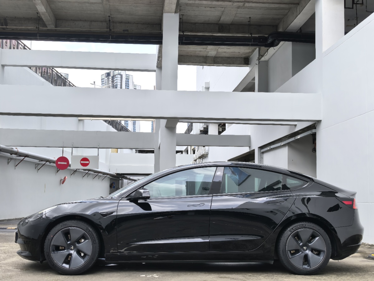 Tesla Model 3 2021 #4 Tesla Model 3 2021 car image #4
