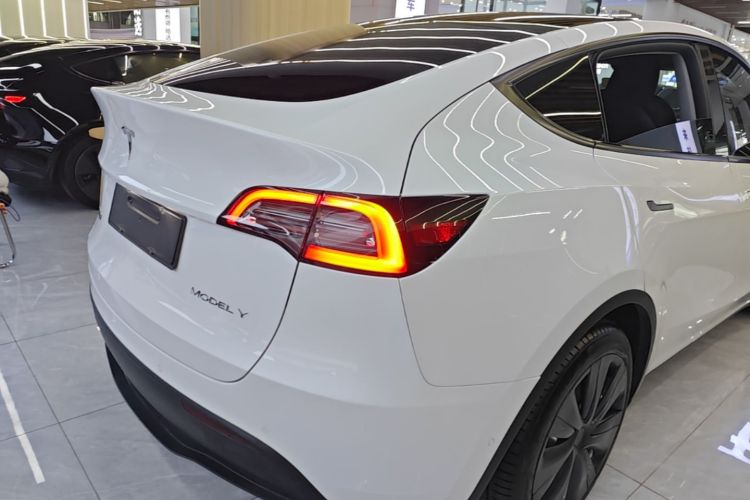 Tesla Model Y 2023 car image #8